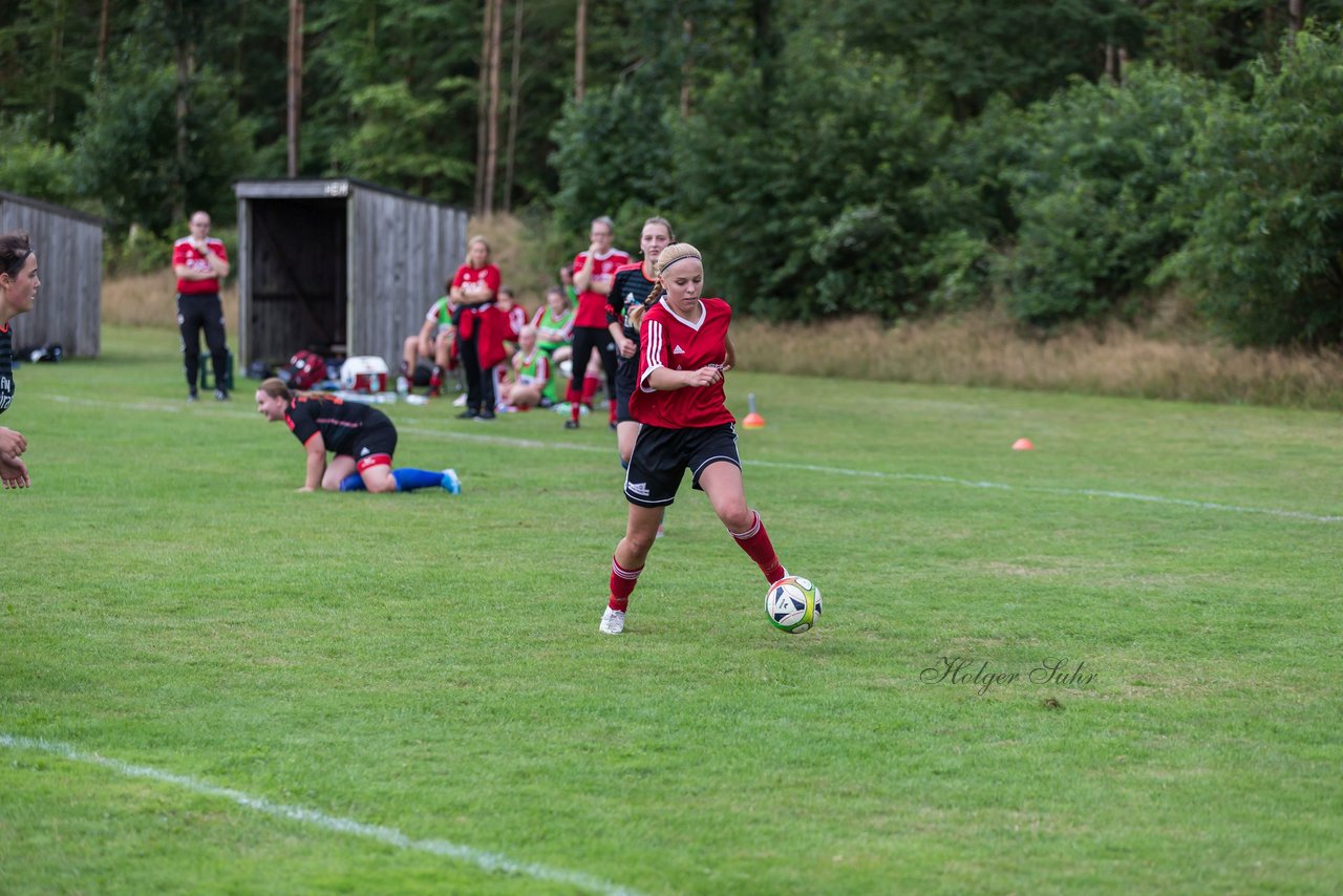 Bild 262 - Frauen SG NieBar - HSV 2 : Ergebnis: 4:3